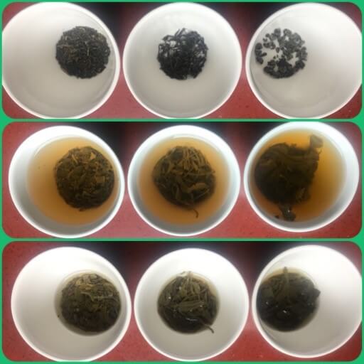 Green Tea, Black Tea, what is the difference?