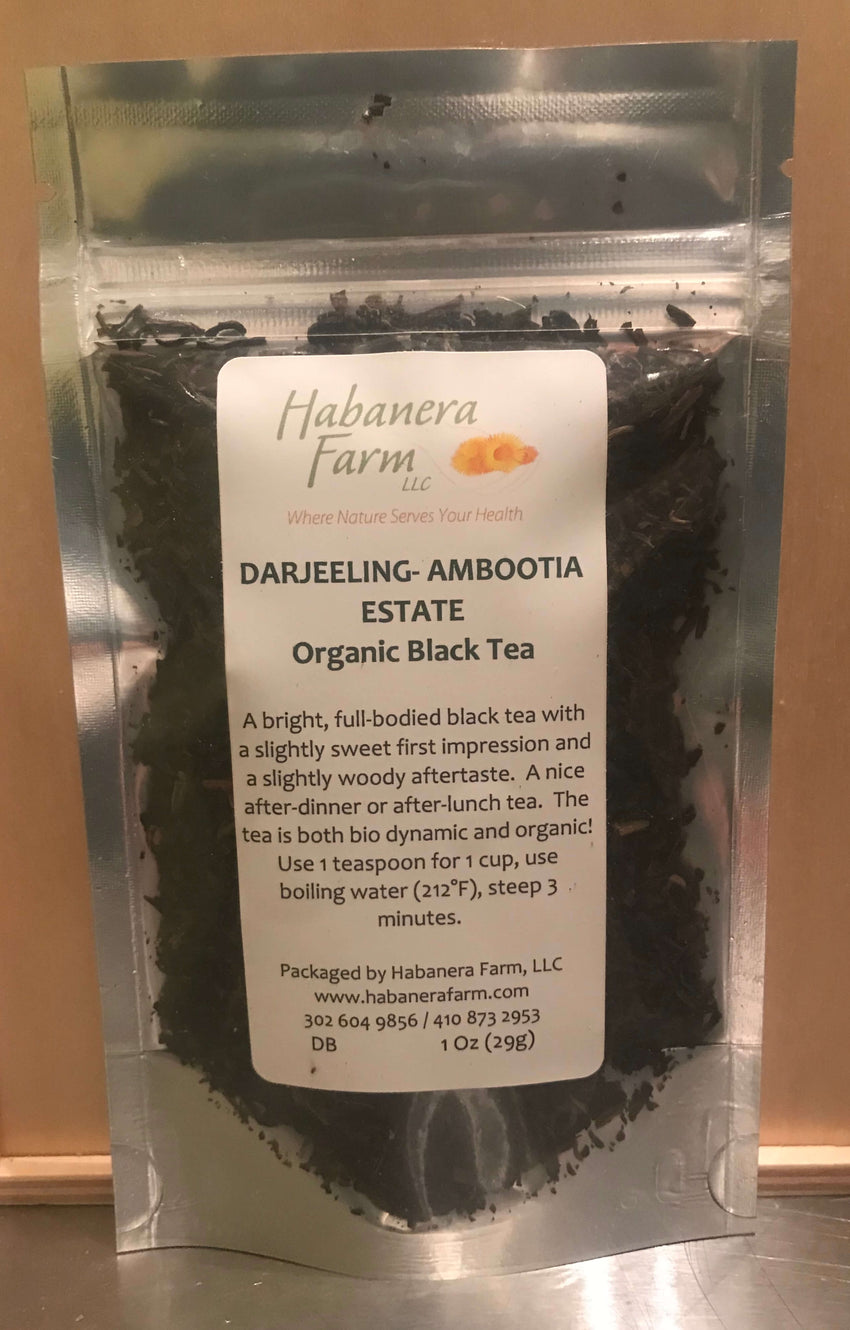 Darjeeling Ambootia Estate, black tea
